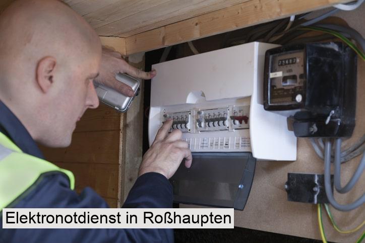 Elektronotdienst in Roßhaupten